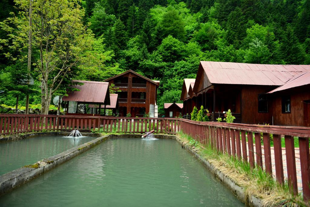 Akyuz Kardesler Hotel & Bungalow Uzungöl Exterior foto